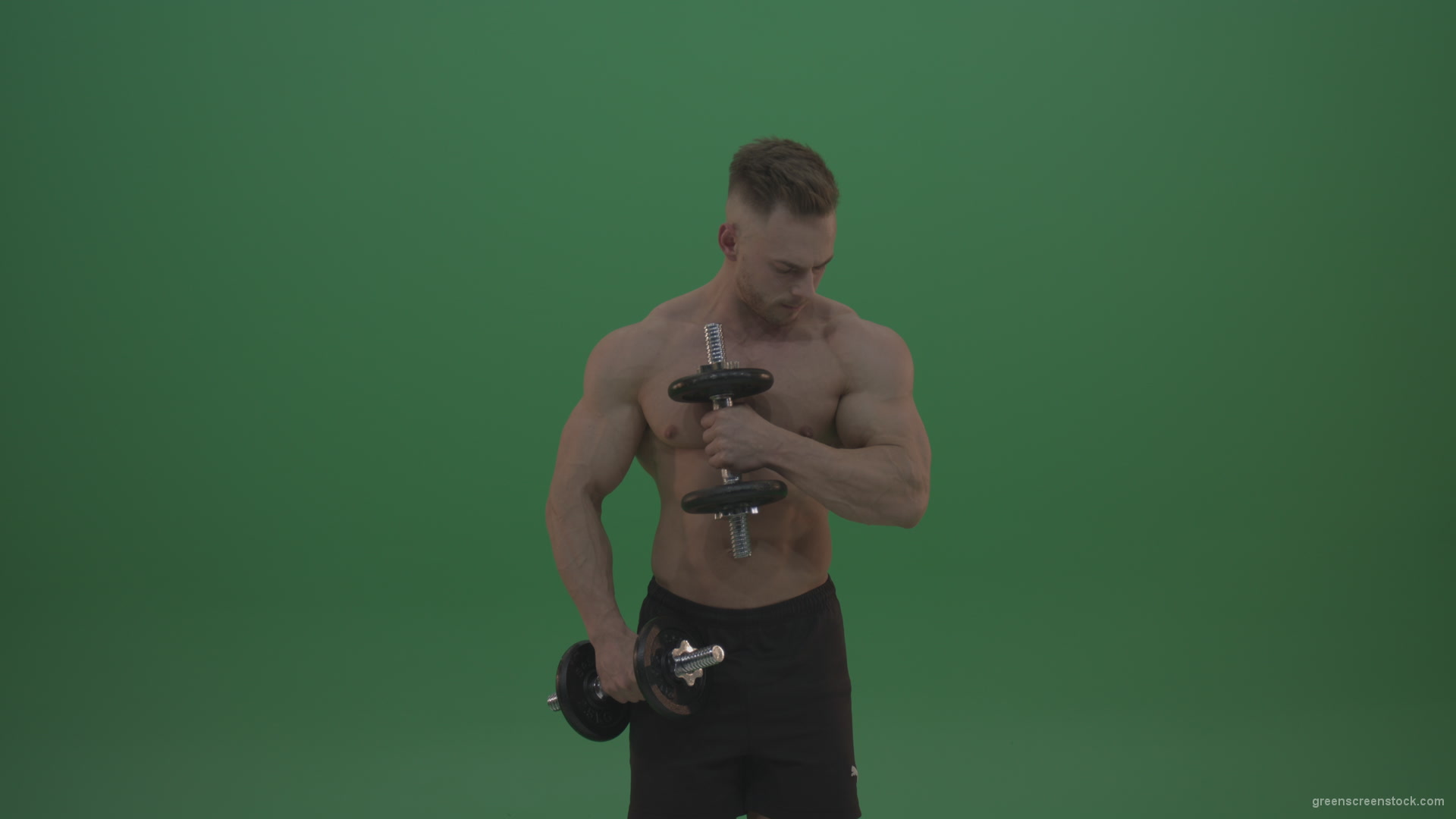 Young_Bodybuilder_Working_Out_With_Two_Handed_Dumbbell_Biceps_Exercises_On_Green_Screen_Wall_Background_004 Green Screen Stock