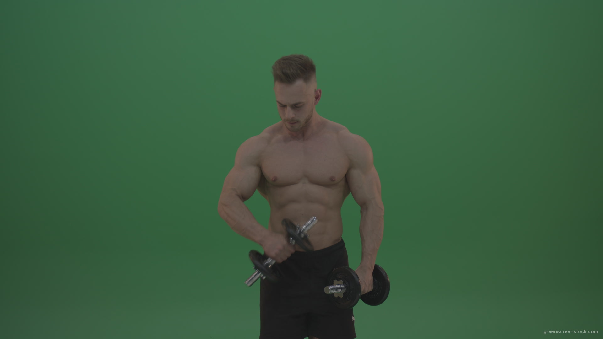 Young_Bodybuilder_Working_Out_With_Two_Handed_Dumbbell_Biceps_Exercises_On_Green_Screen_Wall_Background_005 Green Screen Stock