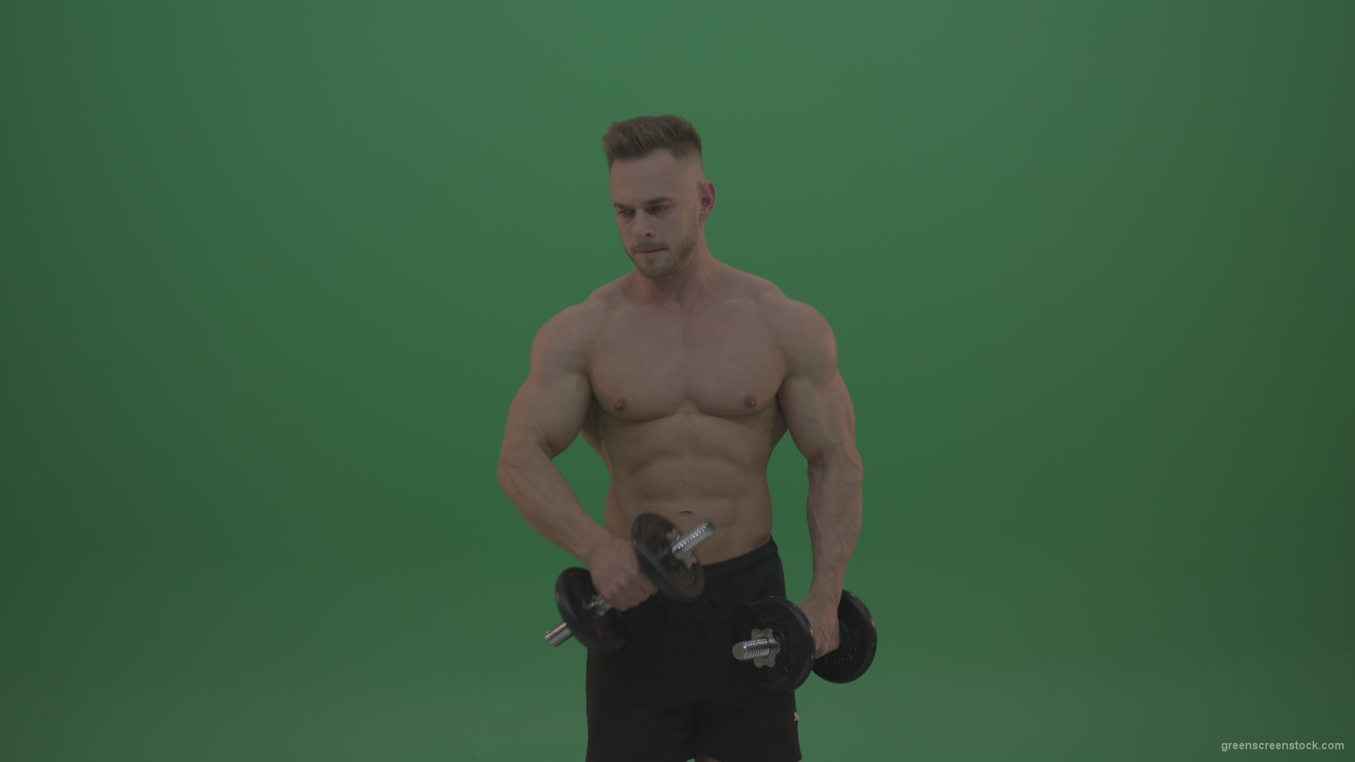 Young_Bodybuilder_Working_Out_With_Two_Handed_Dumbbell_Biceps_Exercises_On_Green_Screen_Wall_Background_006 Green Screen Stock
