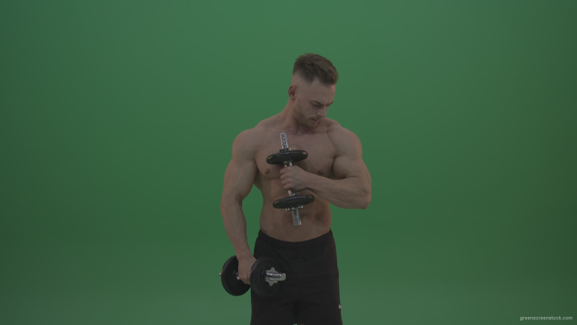 Young_Bodybuilder_Working_Out_With_Two_Handed_Dumbbell_Biceps_Exercises_On_Green_Screen_Wall_Background_007 Green Screen Stock