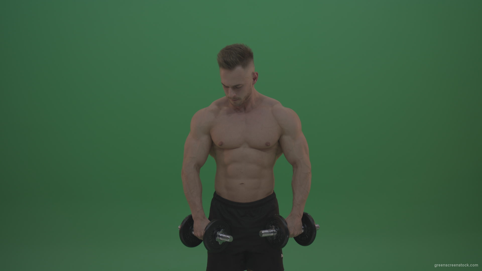 Young_Bodybuilder_Working_Out_With_Two_Handed_Dumbbell_Biceps_Exercises_On_Green_Screen_Wall_Background_008 Green Screen Stock
