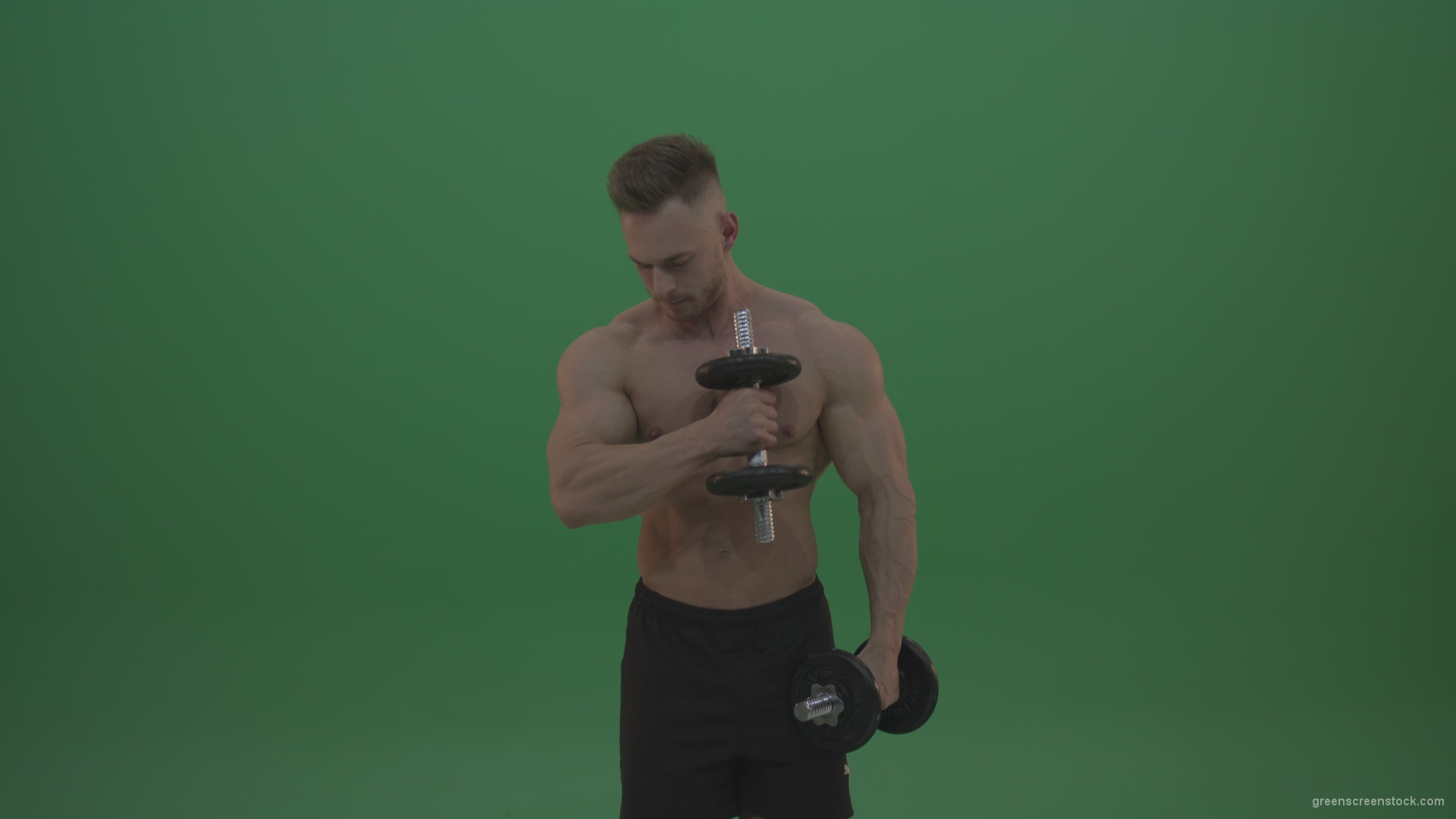 Young_Bodybuilder_Working_Out_With_Two_Handed_Dumbbell_Biceps_Exercises_On_Green_Screen_Wall_Background_009 Green Screen Stock