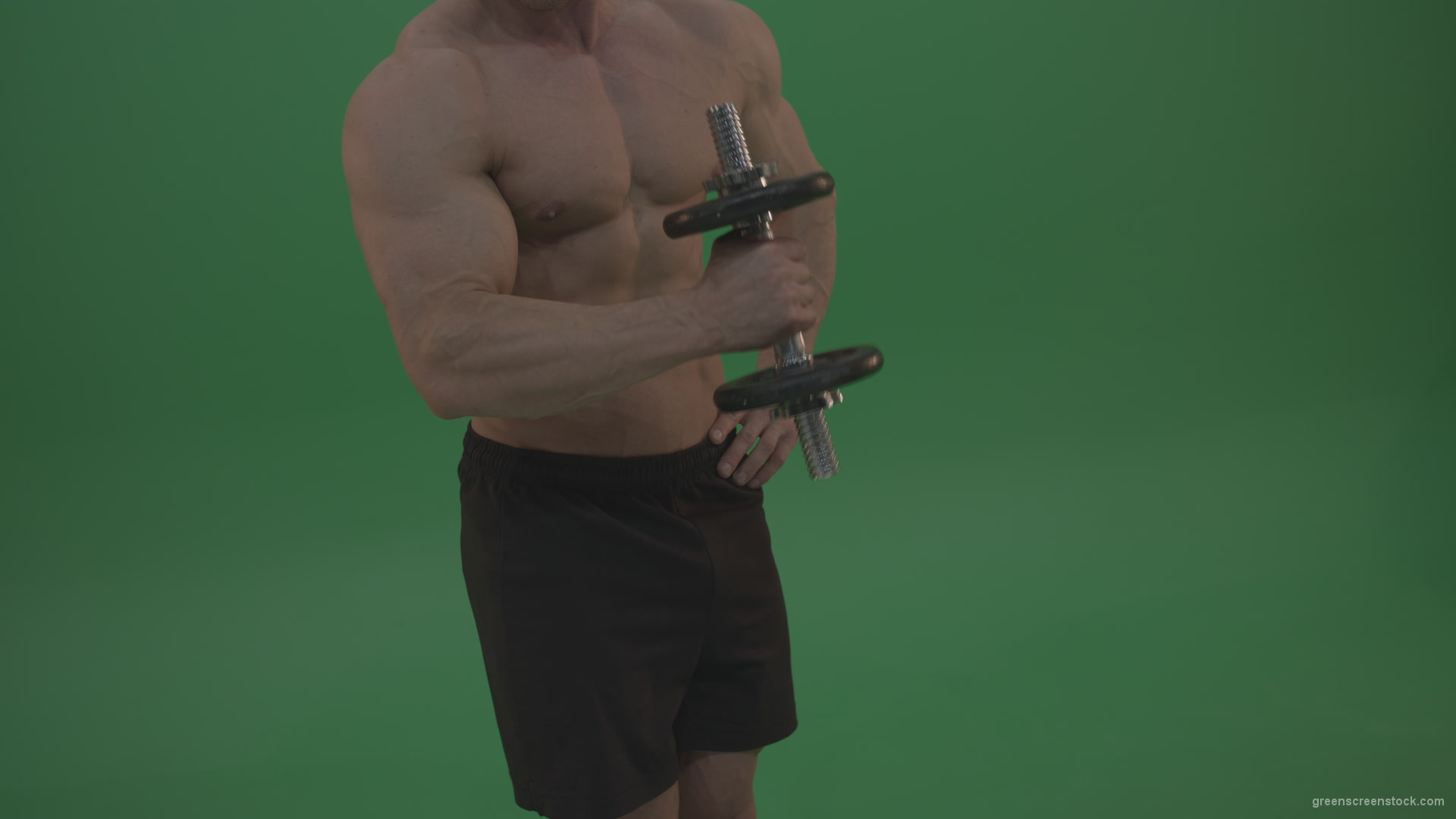 Young_Handsome_Bodybuilder_Doing_Biceps_Muscle_Excercise_With_Dumbbell__Green_Screen_Background_006 Green Screen Stock