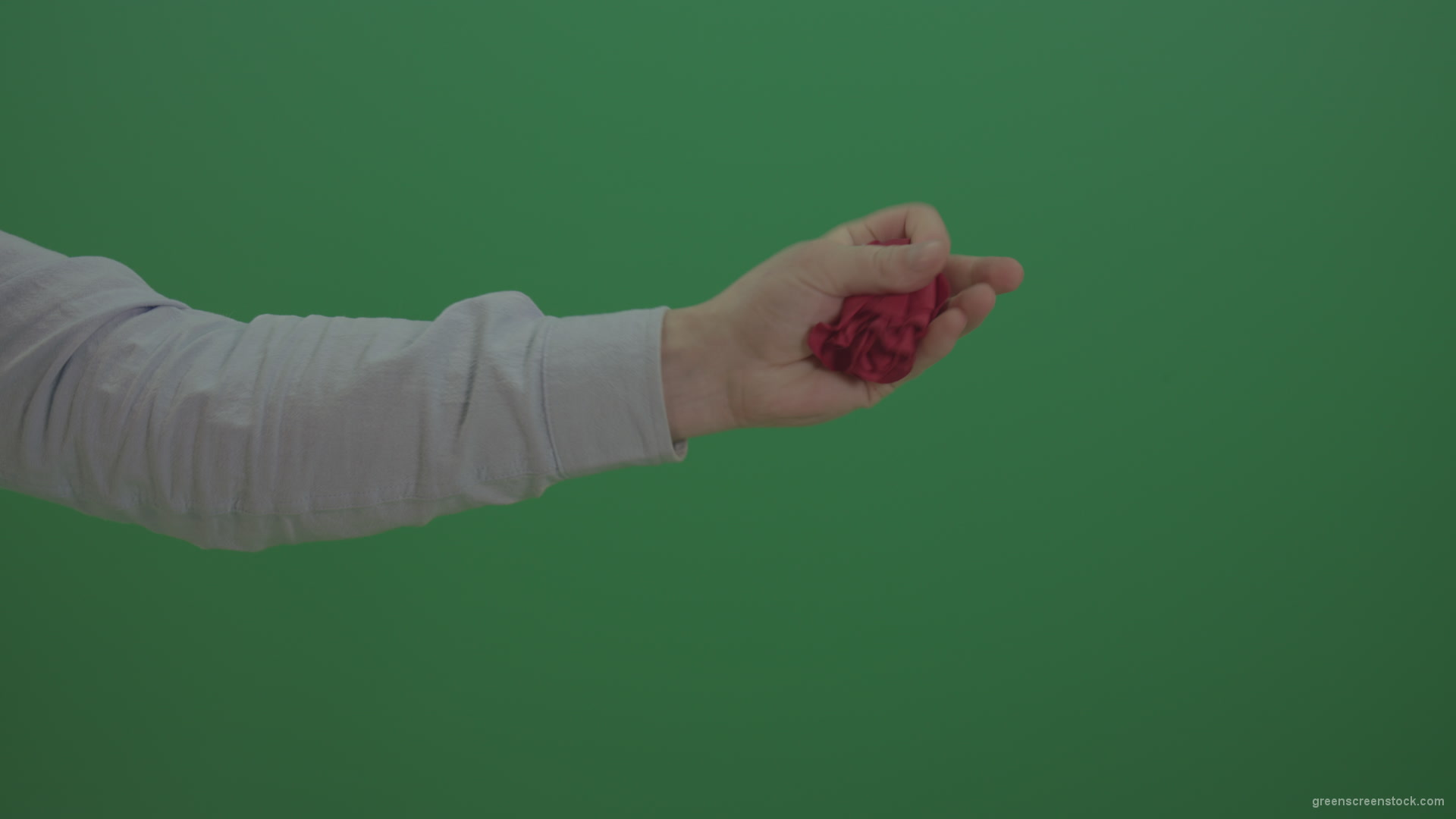 Green-Screen-Man-hand-is-showing-red-rose-flower-and-go-back-isolated-on-green-background_007 Green Screen Stock