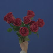 vj video background Man-hand-gift-a-small-bunch-of-flowers-red-rose-isolated-on-blue-chromakey-green-screen_003