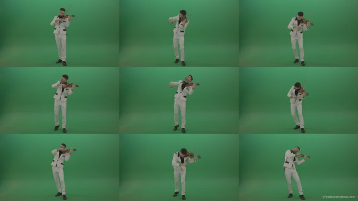 Classic-music-Man-in-white-costume-and-eyes-in-black-mask-play-gothic-violin-Fiddle-string-music-instrument-isolated-on-green-screen Green Screen Stock