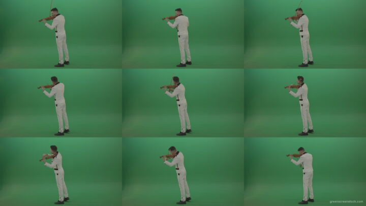 Full-size-Classic-orchestra-man-in-white-wear-play-violin-strings-music-instrument-isolated-on-green-screen-back-side-view Green Screen Stock