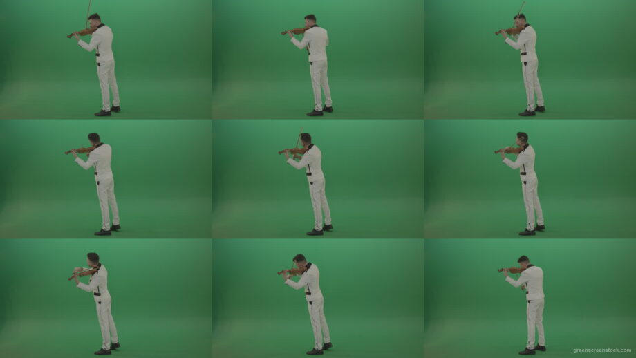 Full-size-Classic-orchestra-man-in-white-wear-play-violin-strings-music-instrument-isolated-on-green-screen-back-side-view Green Screen Stock