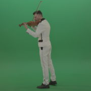 vj video background Full-size-Classic-orchestra-man-in-white-wear-play-violin-strings-music-instrument-isolated-on-green-screen-back-side-view_003