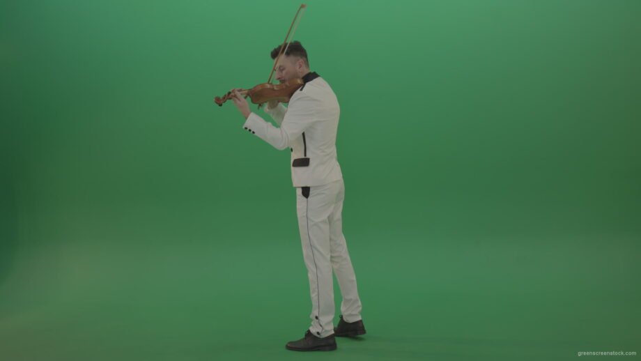 vj video background Full-size-Classic-orchestra-man-in-white-wear-play-violin-strings-music-instrument-isolated-on-green-screen-back-side-view_003