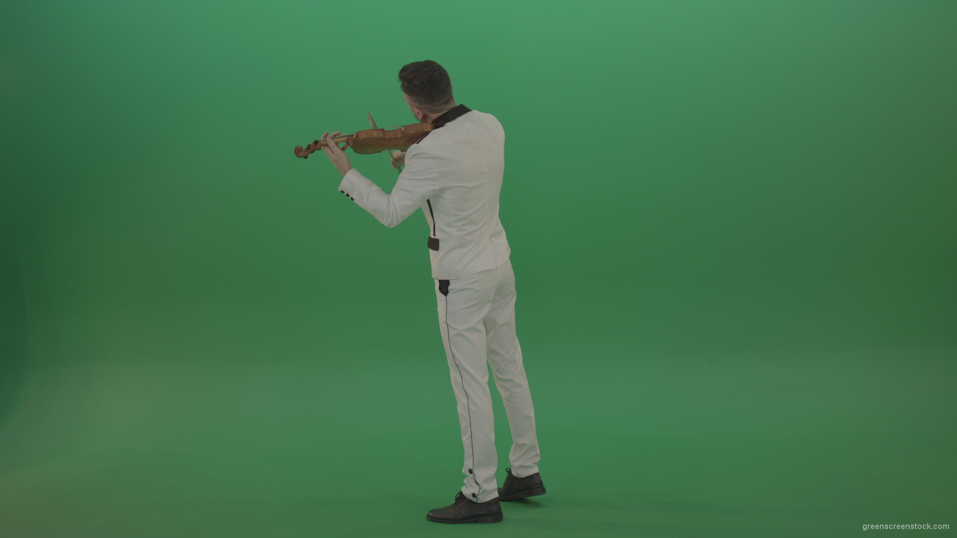 Full-size-Classic-orchestra-man-in-white-wear-play-violin-strings-music-instrument-isolated-on-green-screen-back-side-view_004 Green Screen Stock