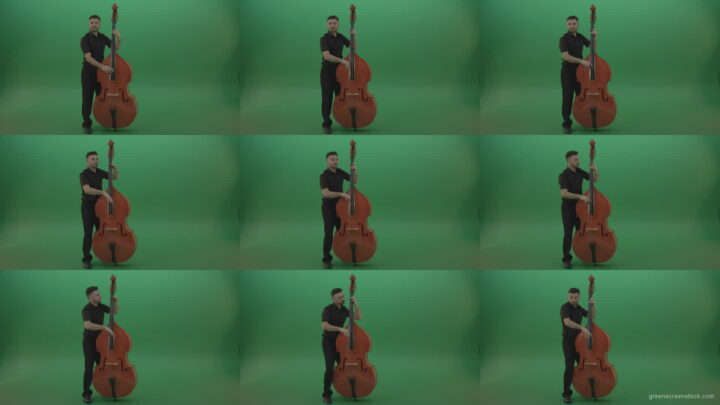 Full-size-man-in-black-uniform-play-jazz-rock-on-double-bass-String-music-instrument-isolated-on-green-screen Green Screen Stock