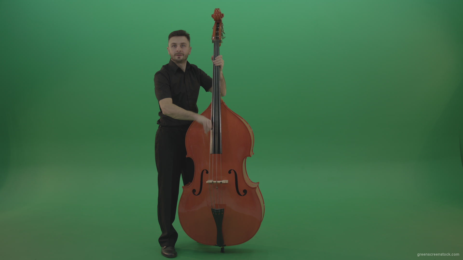 Full-size-man-in-black-uniform-play-jazz-rock-on-double-bass-String-music-instrument-isolated-on-green-screen_002 Green Screen Stock