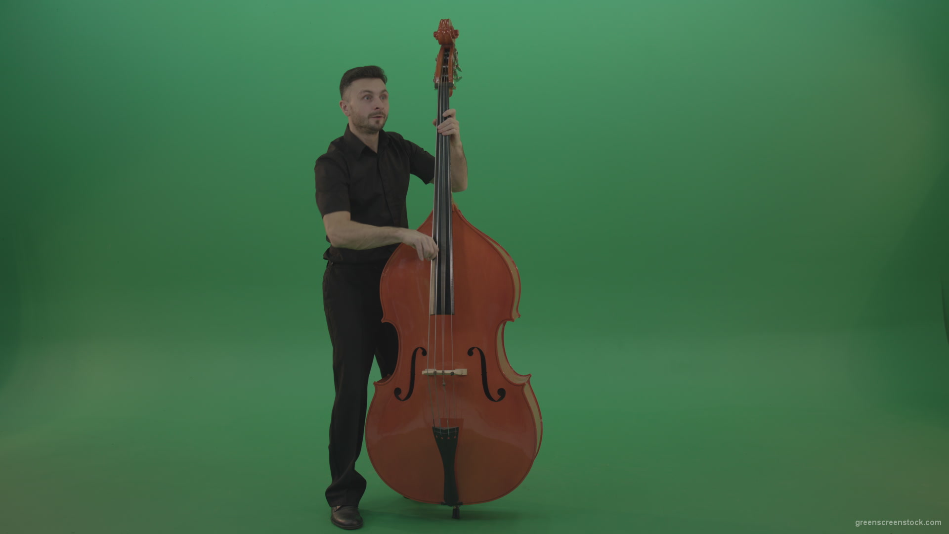 Full-size-man-in-black-uniform-play-jazz-rock-on-double-bass-String-music-instrument-isolated-on-green-screen_005 Green Screen Stock