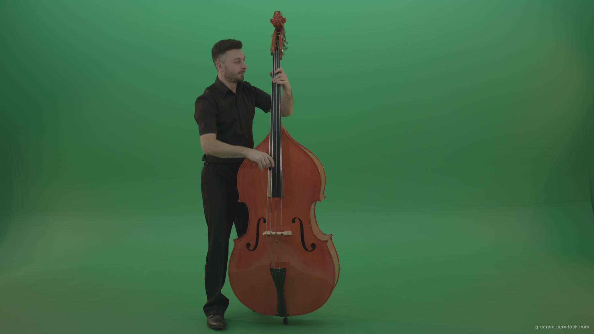 Full-size-man-in-black-uniform-play-jazz-rock-on-double-bass-String-music-instrument-isolated-on-green-screen_006 Green Screen Stock