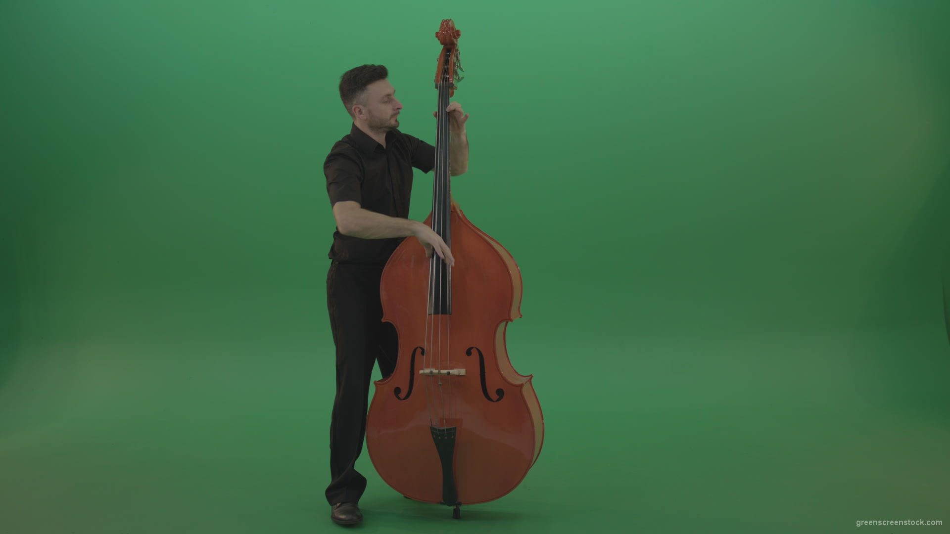 Full-size-man-in-black-uniform-play-jazz-rock-on-double-bass-String-music-instrument-isolated-on-green-screen_007 Green Screen Stock