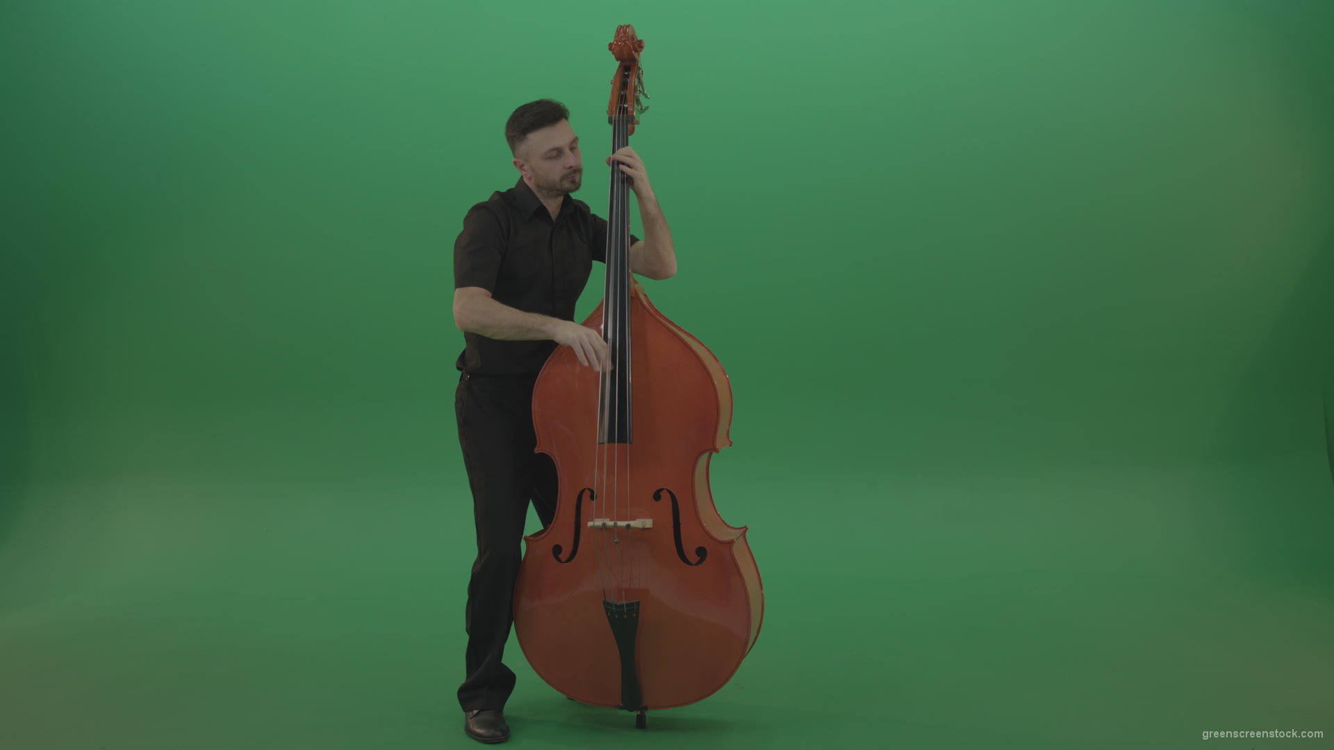 Full-size-man-in-black-uniform-play-jazz-rock-on-double-bass-String-music-instrument-isolated-on-green-screen_008 Green Screen Stock