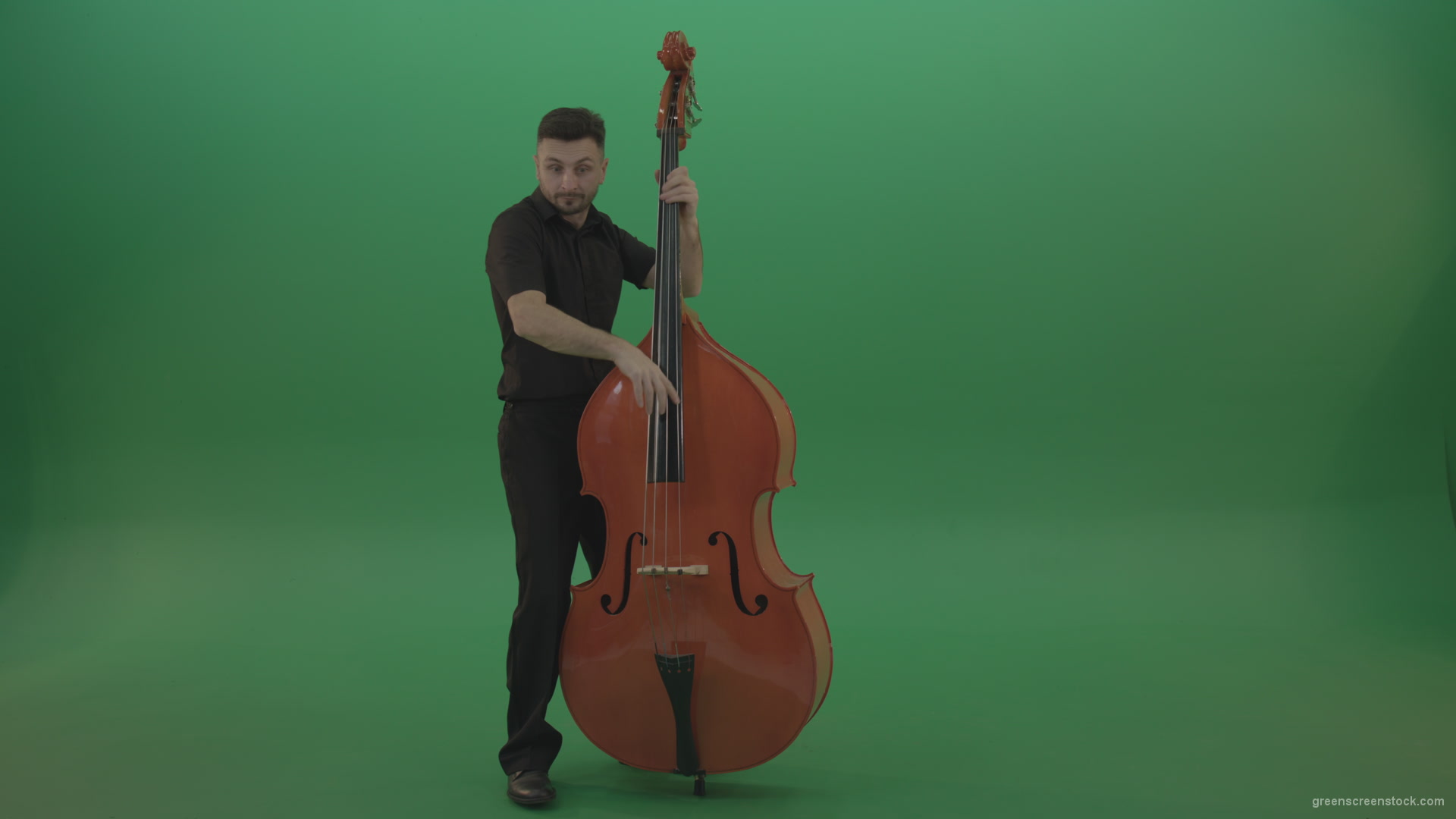 Full-size-man-in-black-uniform-play-jazz-rock-on-double-bass-String-music-instrument-isolated-on-green-screen_009 Green Screen Stock