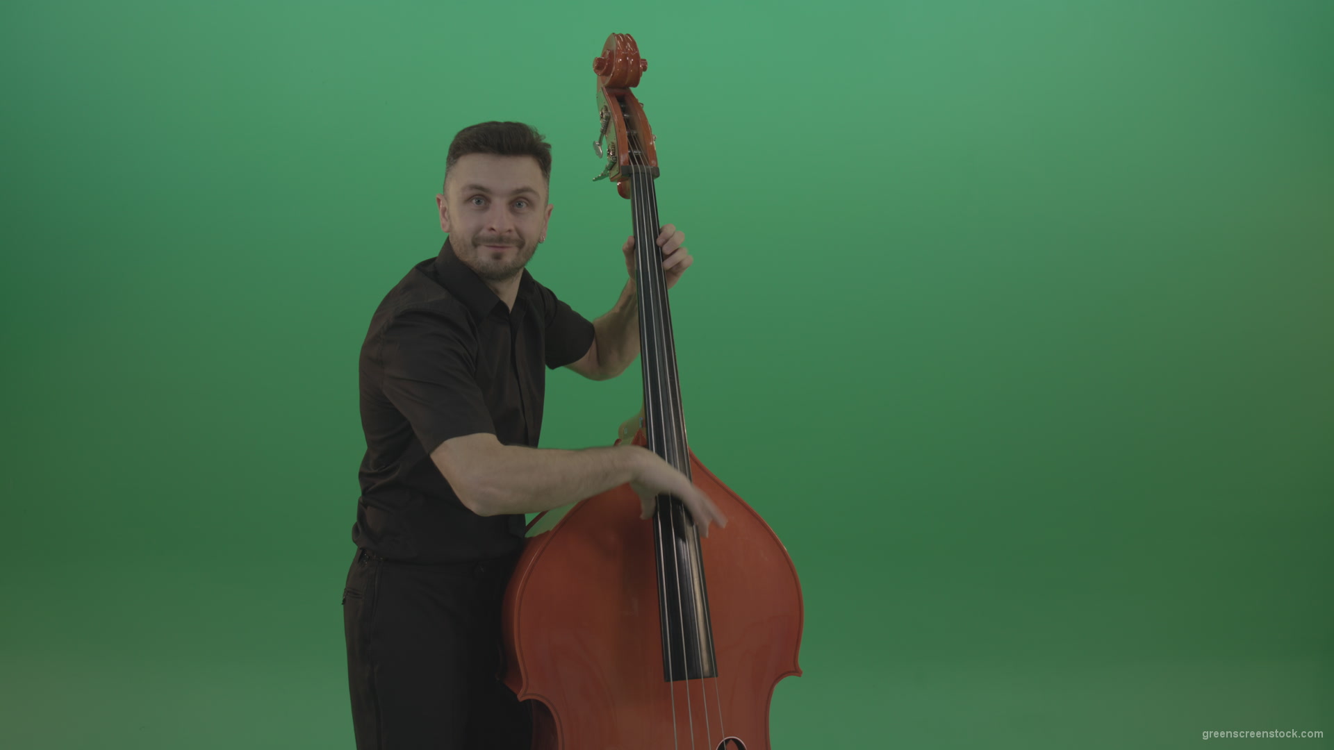 Funny-happy-man-with-smile-playing-jazz-on-double-bass-String-music-instrument-isolated-on-green-screen_004 Green Screen Stock
