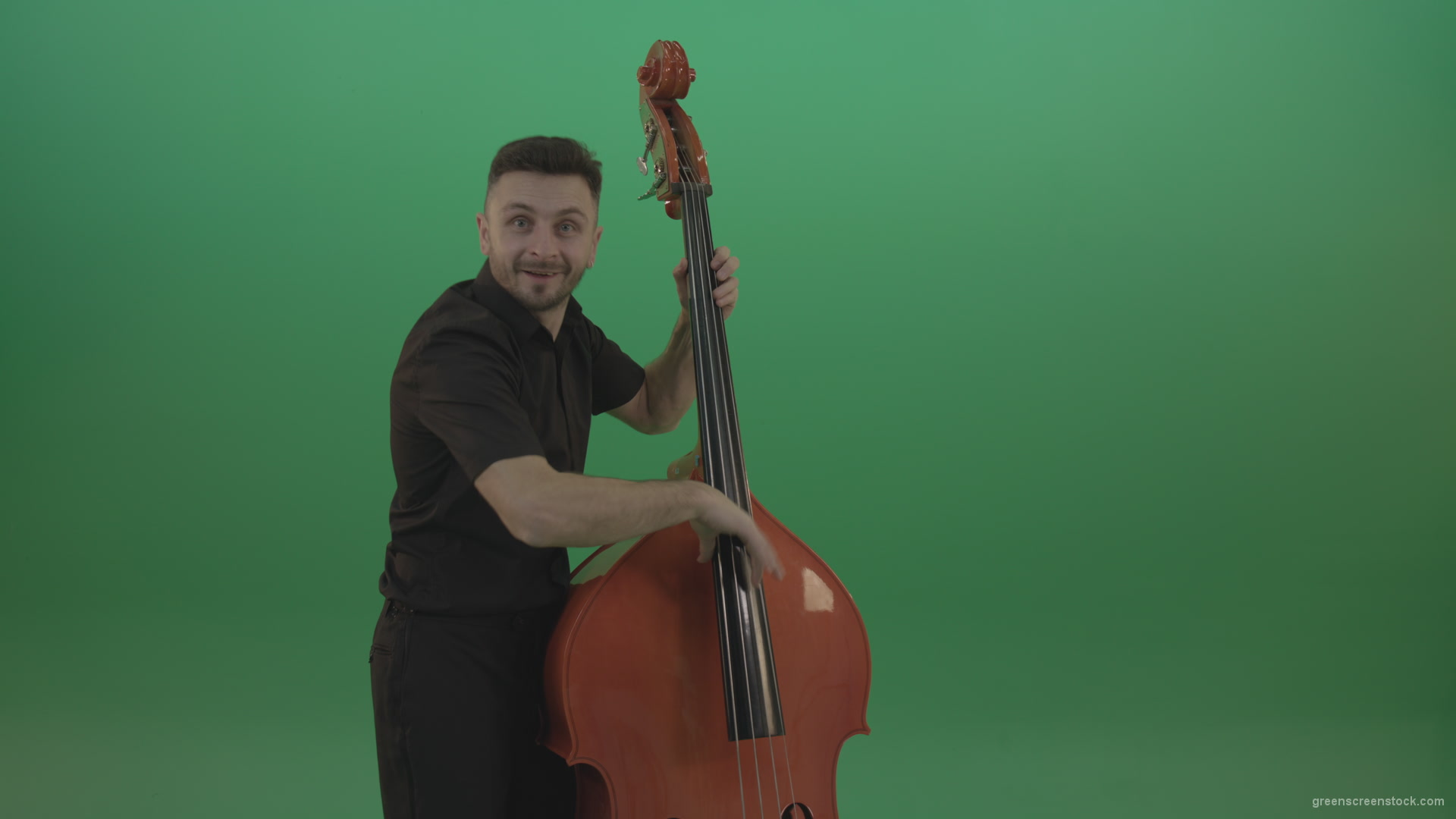 Funny-happy-man-with-smile-playing-jazz-on-double-bass-String-music-instrument-isolated-on-green-screen_005 Green Screen Stock