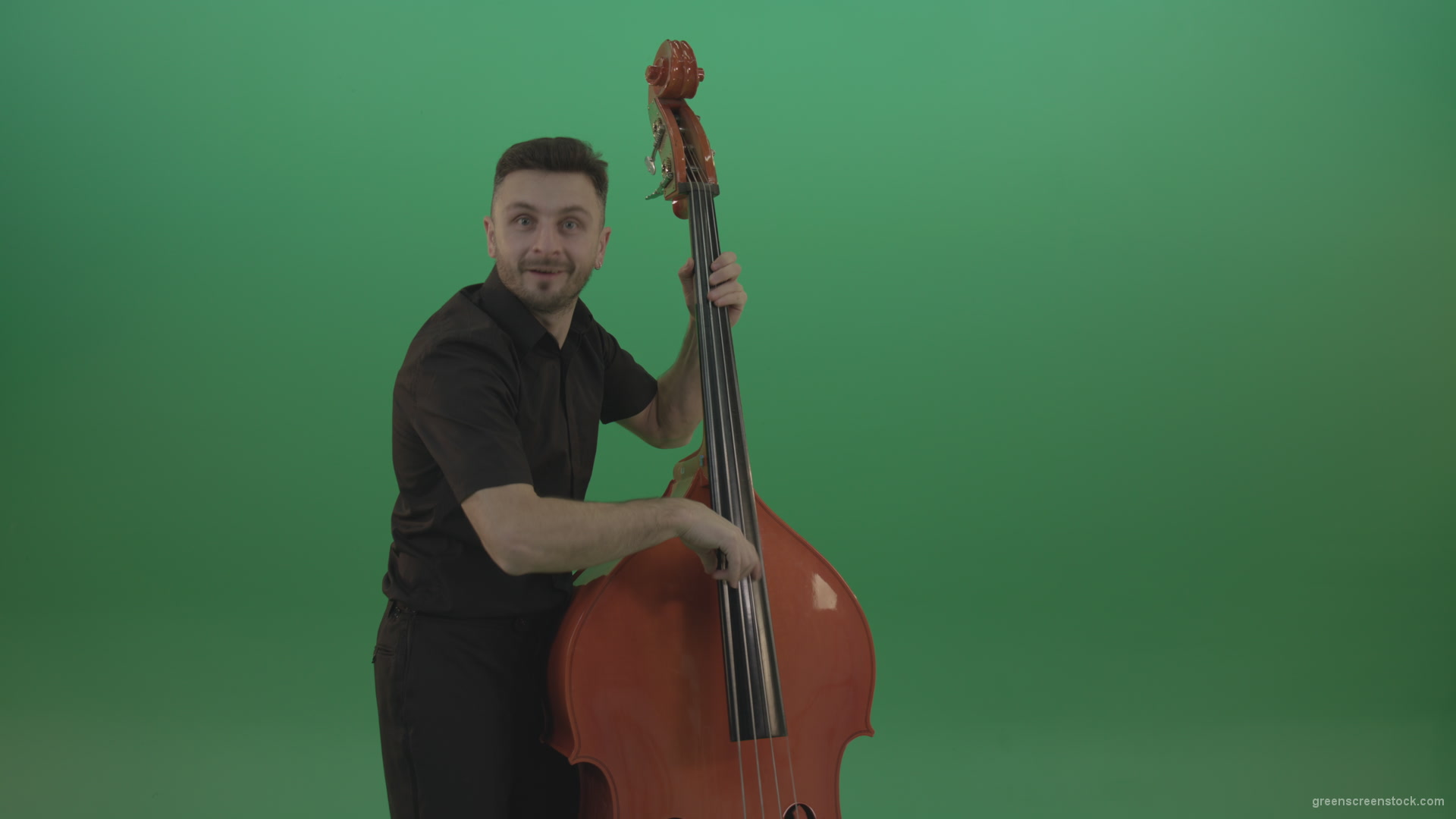 Funny-happy-man-with-smile-playing-jazz-on-double-bass-String-music-instrument-isolated-on-green-screen_006 Green Screen Stock