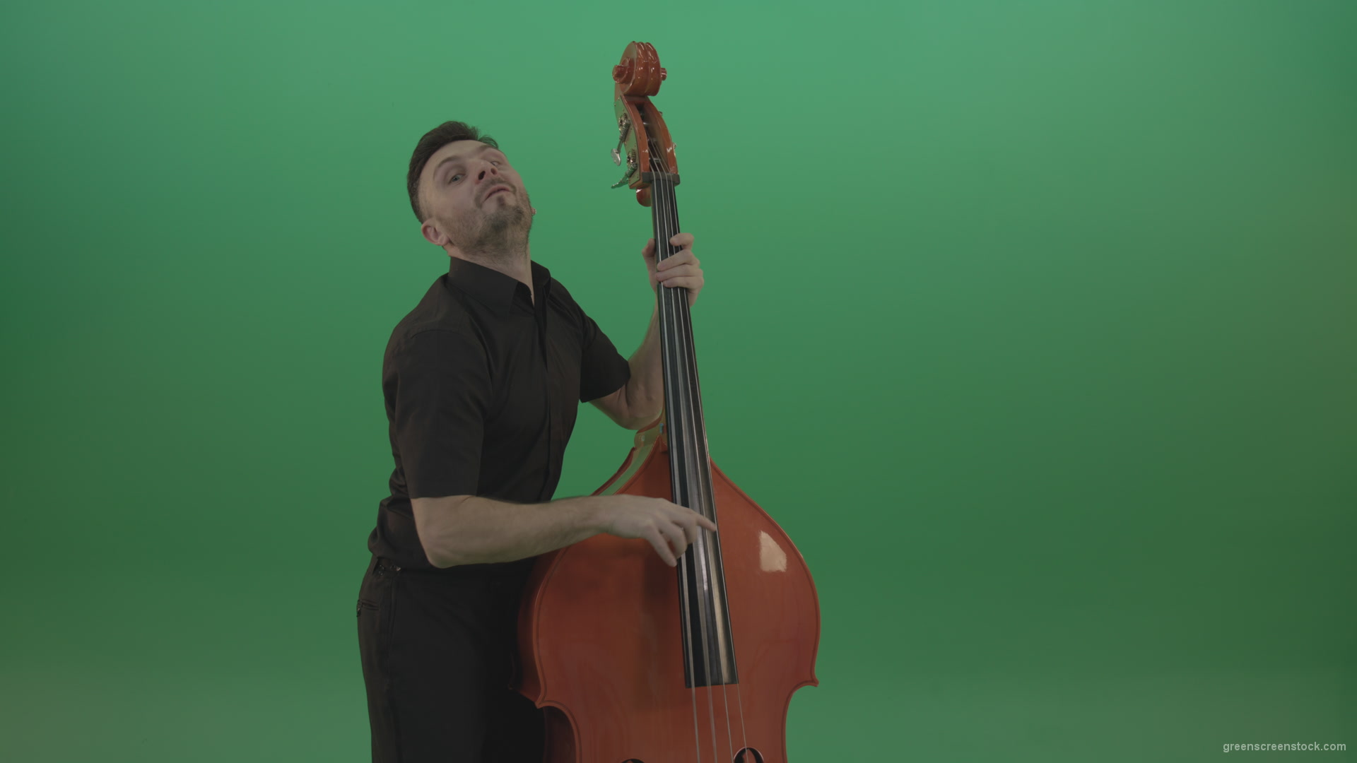 Funny-happy-man-with-smile-playing-jazz-on-double-bass-String-music-instrument-isolated-on-green-screen_008 Green Screen Stock