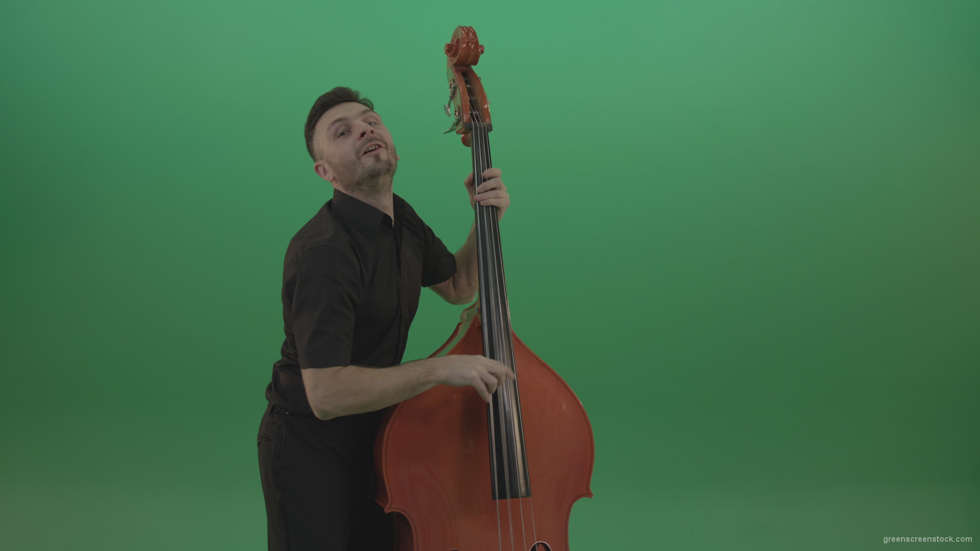 Funny-happy-man-with-smile-playing-jazz-on-double-bass-String-music-instrument-isolated-on-green-screen_009 Green Screen Stock