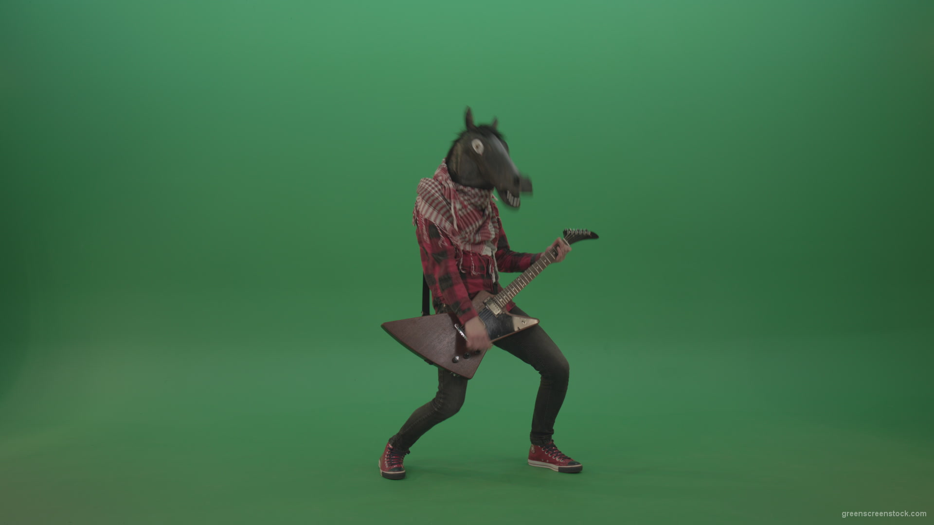 Green-screen-horse-man-guitaris-play-hard-rock-music-with-guitar-isolated-on-green-background_005 Green Screen Stock