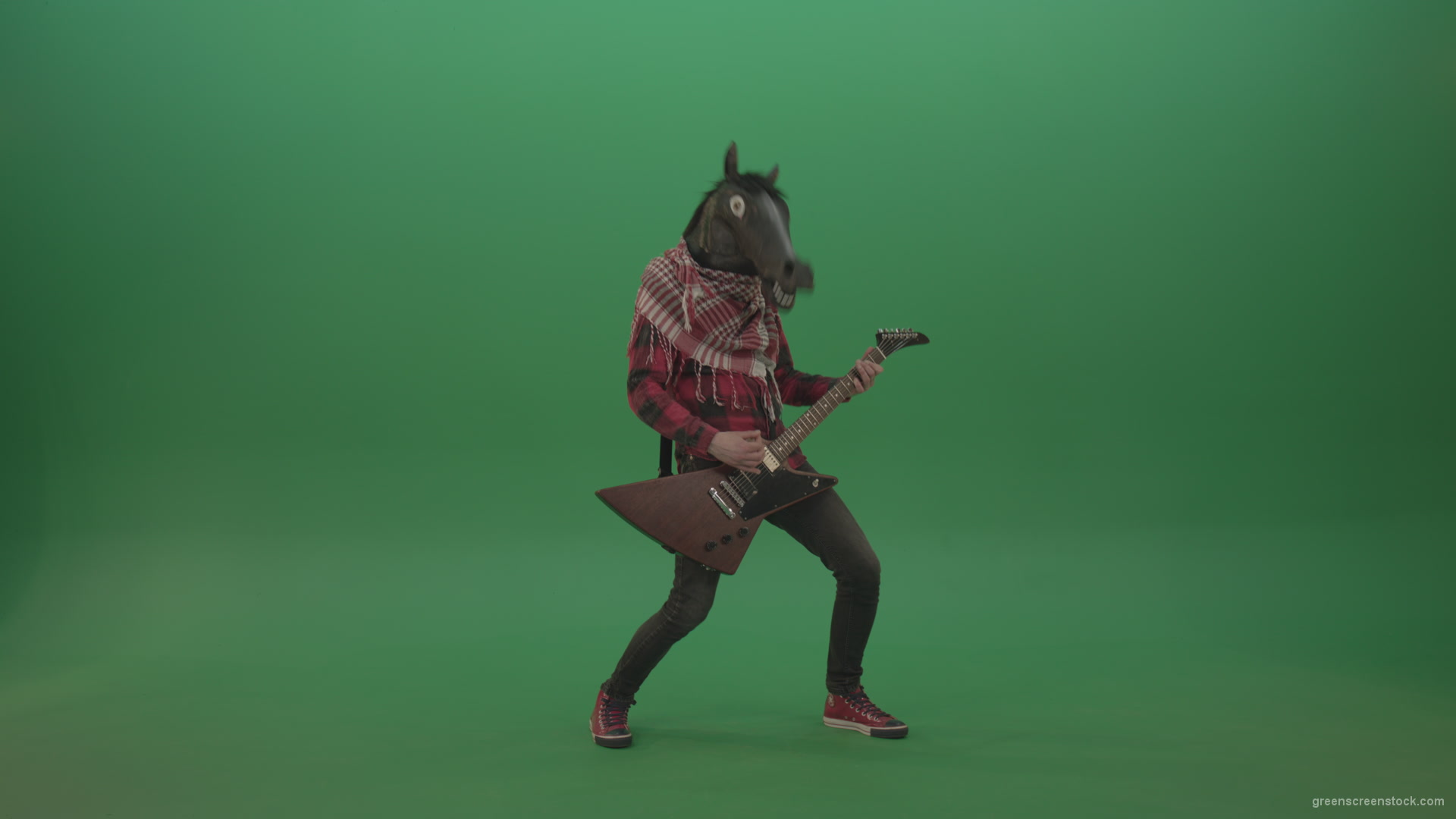 Green-screen-horse-man-guitaris-play-hard-rock-music-with-guitar-isolated-on-green-background_006 Green Screen Stock
