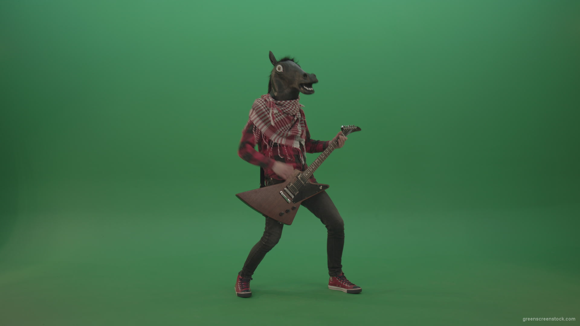 Green-screen-horse-man-guitaris-play-hard-rock-music-with-guitar-isolated-on-green-background_008 Green Screen Stock