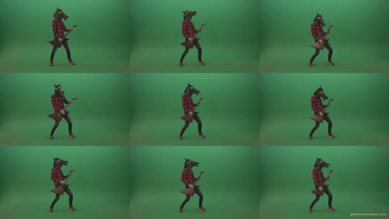 Guitarist-horse-man-with-horse-mask-head-play-guitar-on-green-screen Green Screen Stock