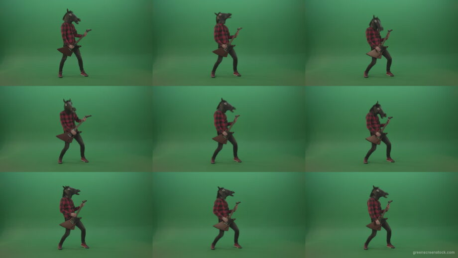 Guitarist-horse-man-with-horse-mask-head-play-guitar-on-green-screen Green Screen Stock