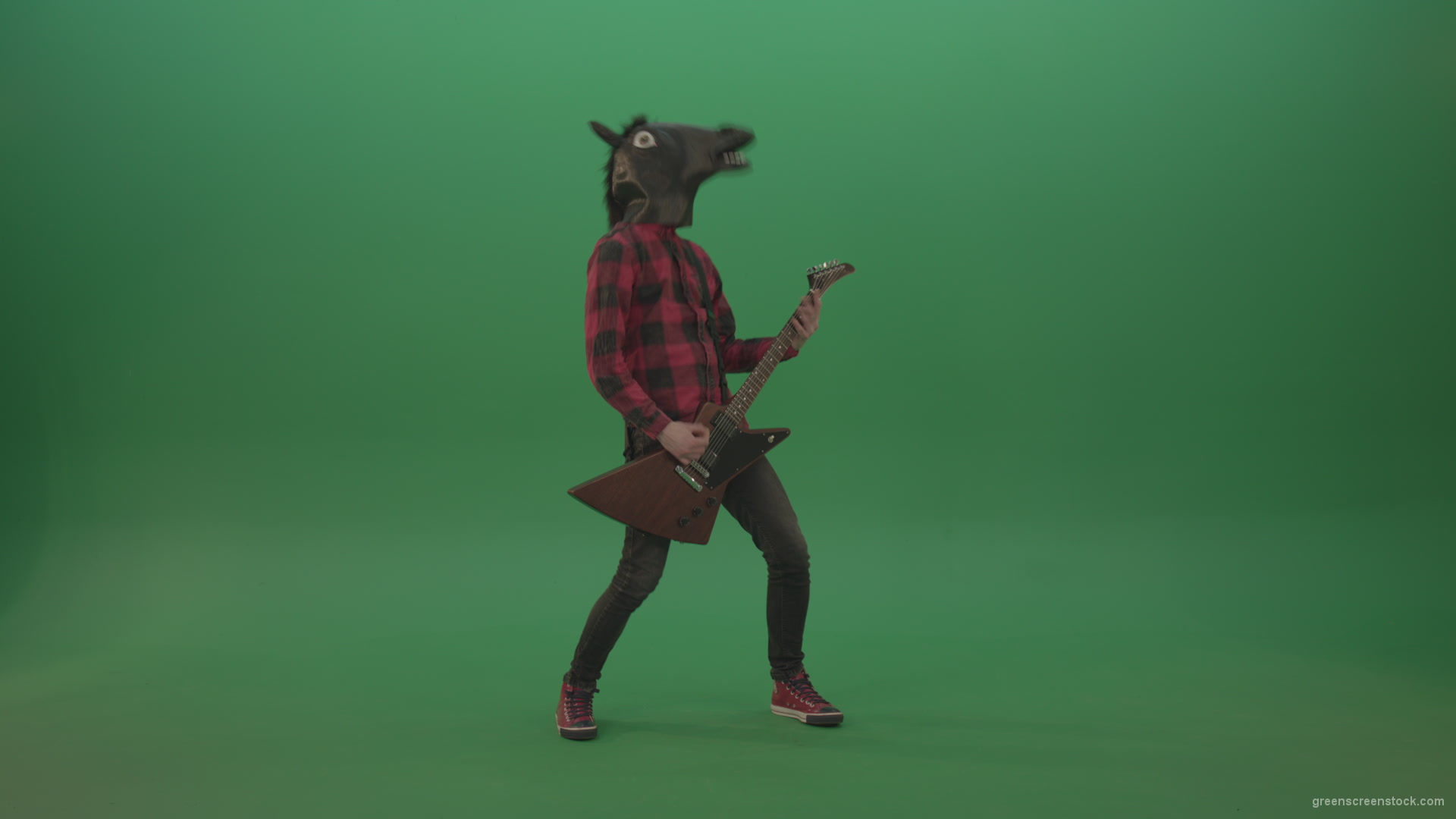 Guitarist-horse-man-with-horse-mask-head-play-guitar-on-green-screen_002 Green Screen Stock