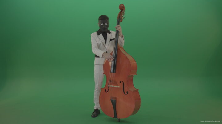 vj video background Man-in-white-costume-and-blac-mask-play-jazz-music-on-double-bass-orchestra-music-instument-isolated-on-green-screen_003