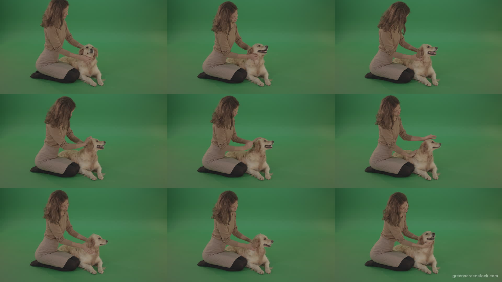 Young-Girl-stroke-the-dog-golden-retriever-big-puppy-isolated-on-green-screen-background Green Screen Stock
