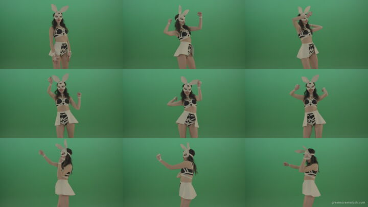 Beautiful-bunny-in-a-lovely-suit-cyclically-moves-hands-and-dances-on-green-background Green Screen Stock