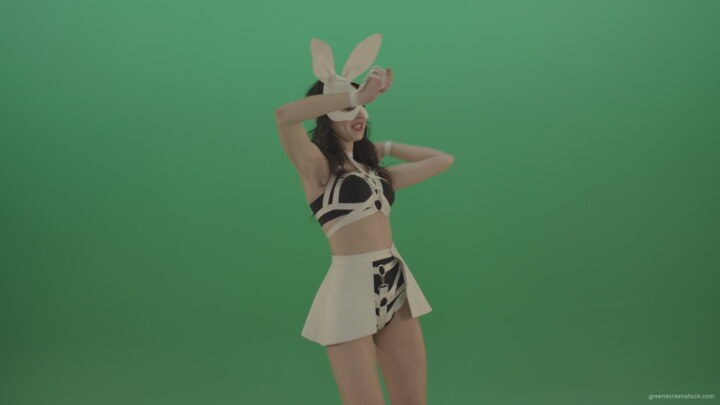 vj video background Beautiful-bunny-in-a-lovely-suit-cyclically-moves-hands-and-dances-on-green-background_003