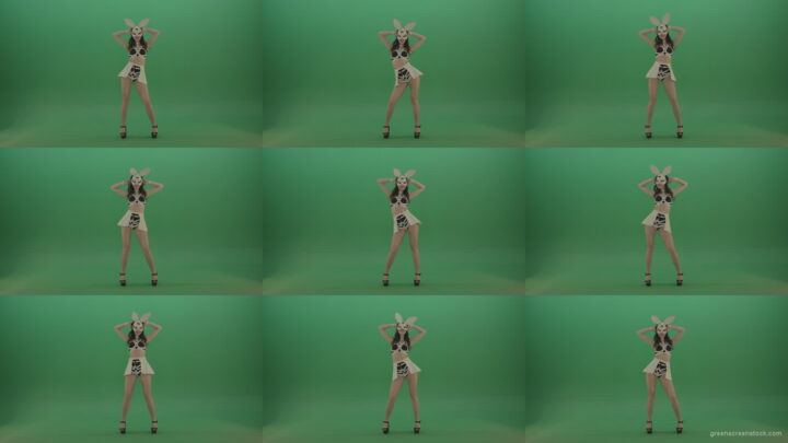 Black-white-sexy-costume-the-girl-moves-the-basin-in-different-directions-on-chromakey-background Green Screen Stock