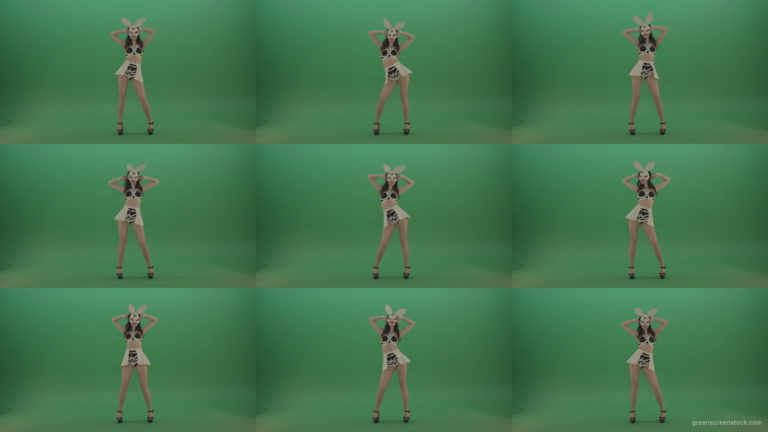 Black-white-sexy-costume-the-girl-moves-the-basin-in-different-directions-on-chromakey-background Green Screen Stock