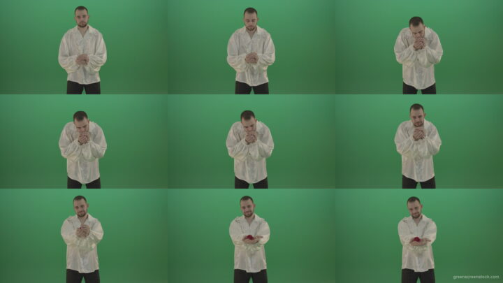 Boy-gives-flower-squeezing-in-the-sleeves-elegantly-in-hand-isolated-on-green-screen Green Screen Stock