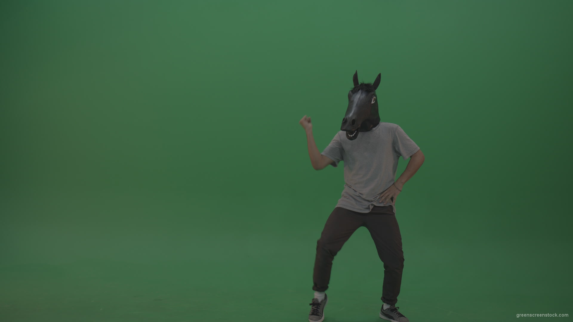 Boy-in-grey-wear-and-horse-head-costume-dances-over-green-screen-background_002 Green Screen Stock
