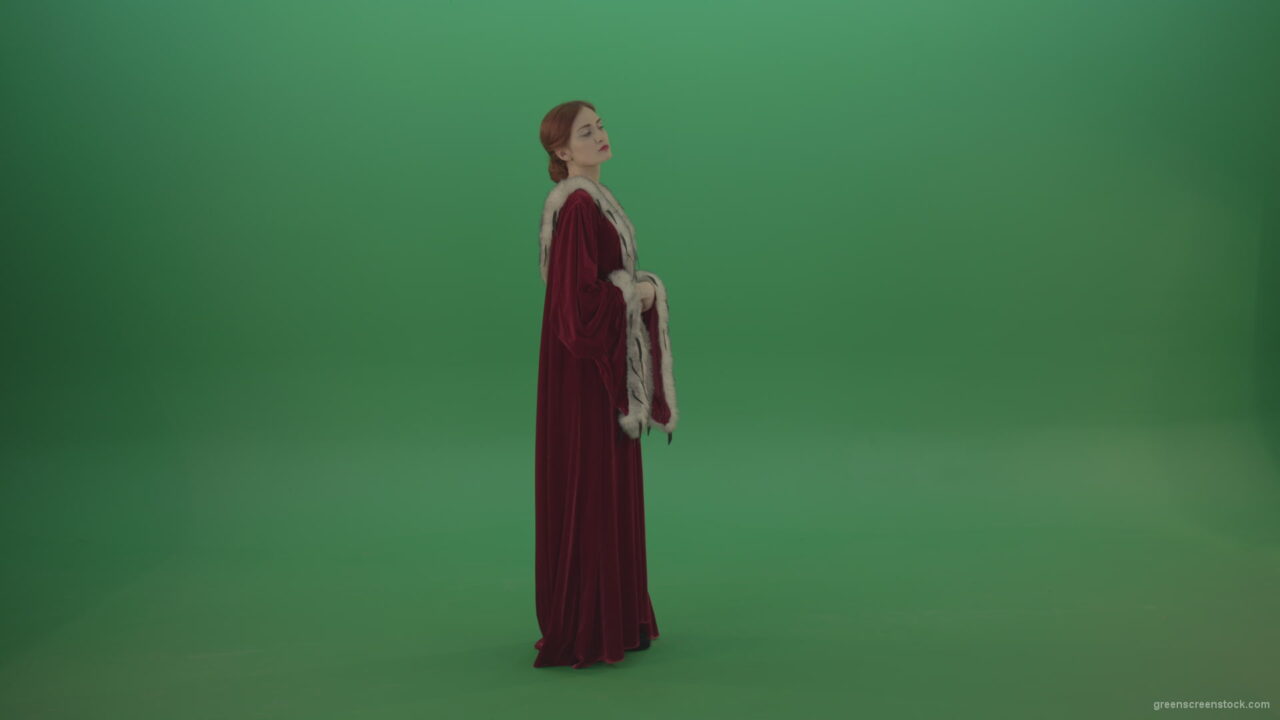 vj video background Elegant-woman-princess-with-light-movements-shows-her-beauty-dressed-in-red-cloak-on-a-green-background_003