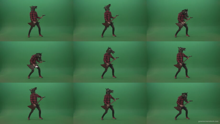 Fun-green-screen-animal-horse-man-with-guitar-on-green-screen Green Screen Stock