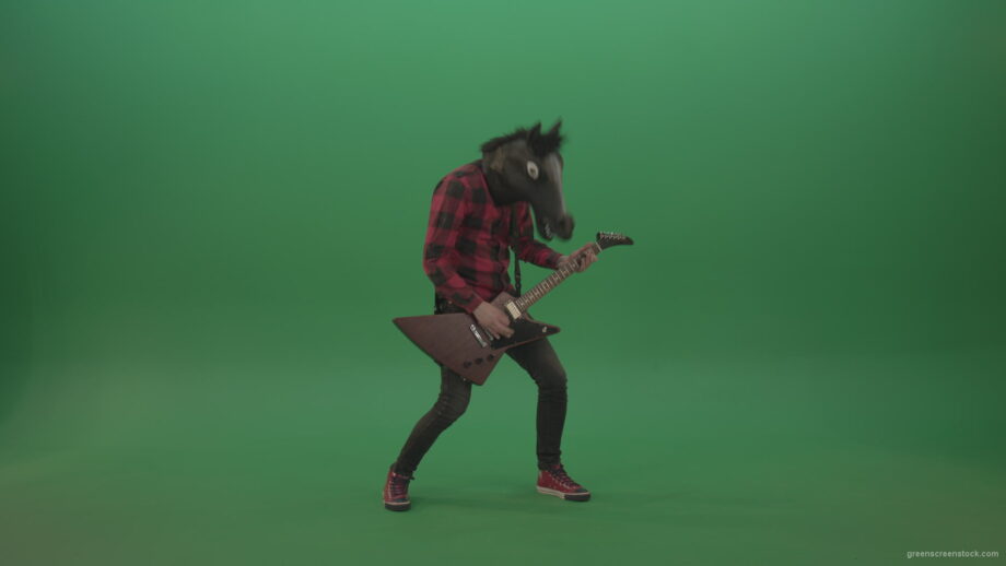 vj video background Fun-green-screen-animal-horse-man-with-guitar-on-green-screen_003
