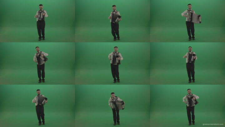 Funny-Accordion-man-player-playing-music-isolated-on-green-screen Green Screen Stock