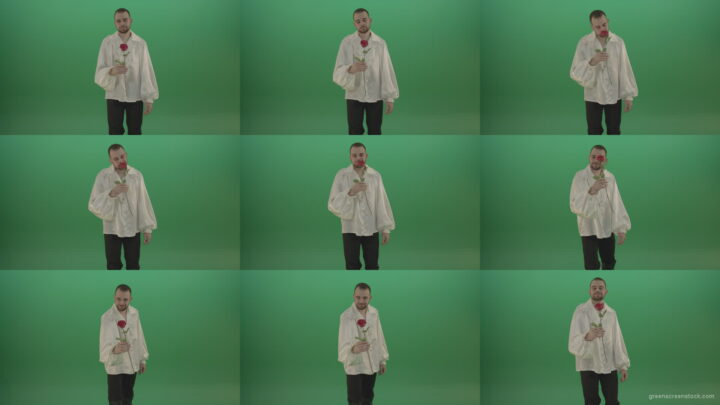 Glancing-at-the-red-flower-the-guy-gives-love-rose-to-camera-isolated-on-green-screen Green Screen Stock