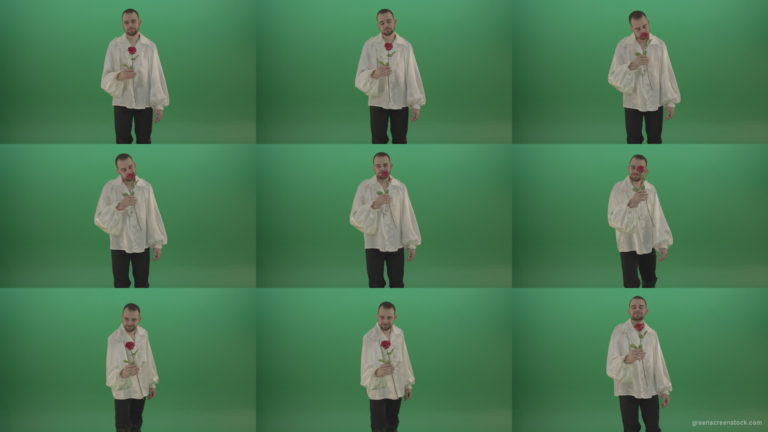 Glancing-at-the-red-flower-the-guy-gives-love-rose-to-camera-isolated-on-green-screen Green Screen Stock