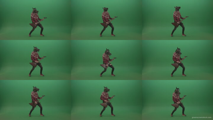 Green-screen-horse-man-guitaris-play-hard-rock-music-with-guitar-isolated-on-green-background Green Screen Stock