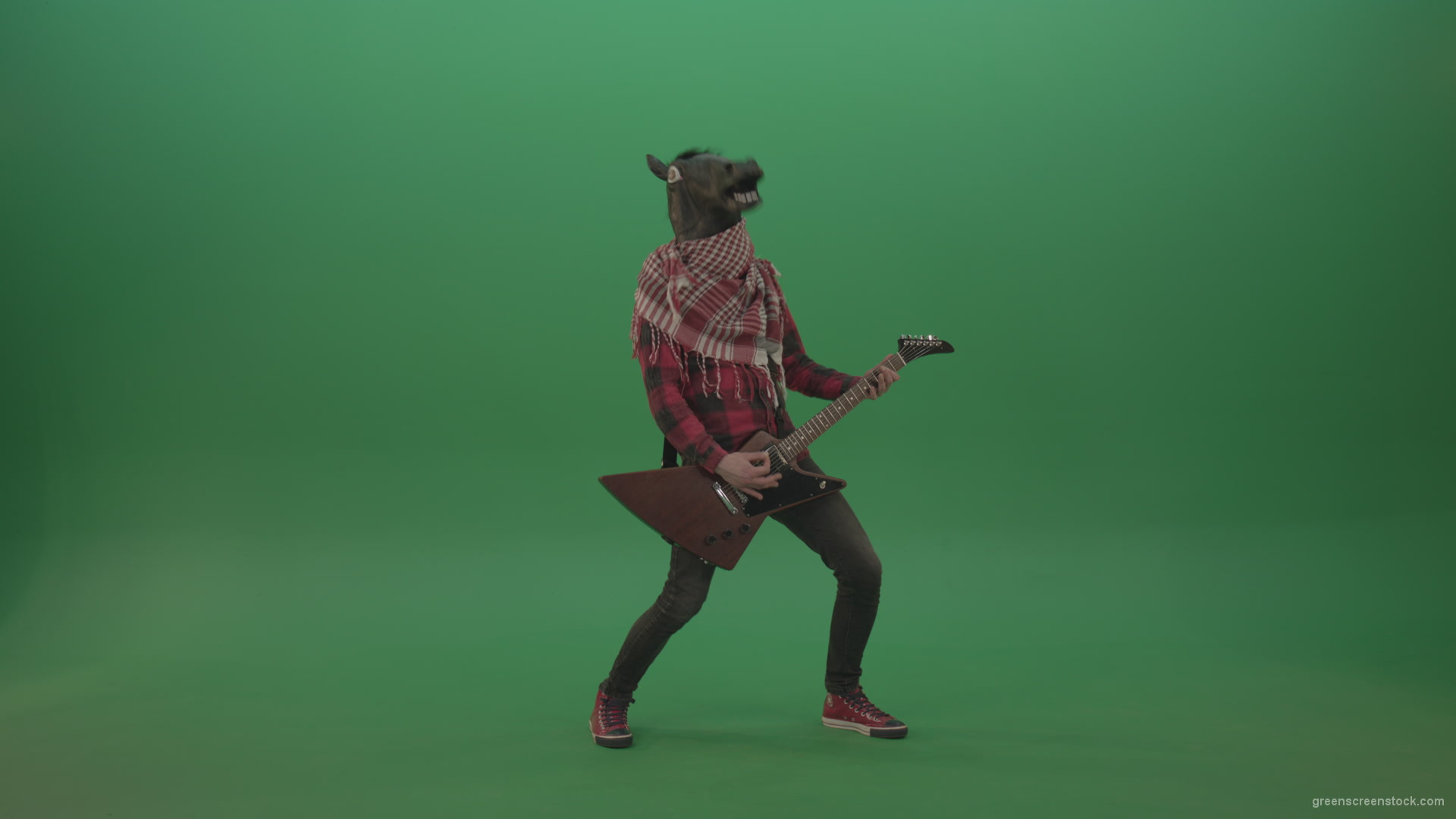Green-screen-horse-man-guitaris-play-hard-rock-music-with-guitar-isolated-on-green-background_002 Green Screen Stock