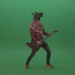 vj video background Green-screen-horse-man-guitaris-play-hard-rock-music-with-guitar-isolated-on-green-background_003